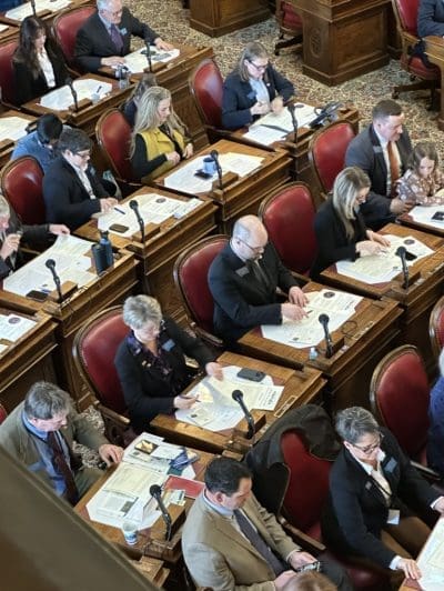 Denise Baum working and voting in the House Legislature